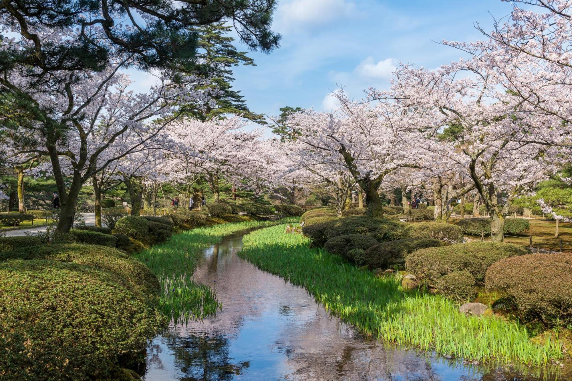 Tokyu Stay Kanazawa Zewnętrze zdjęcie